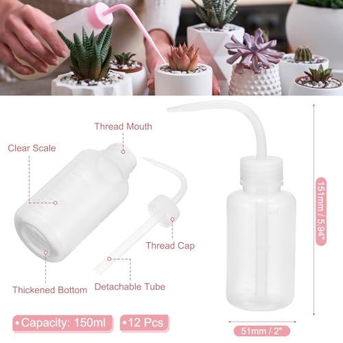 150ml 5oz Succulent Eyelash Tattoo Wash view 2