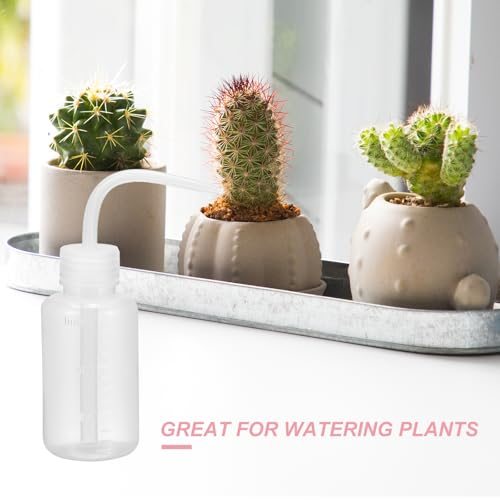 150ml 5oz Succulent Eyelash Tattoo Wash view 4