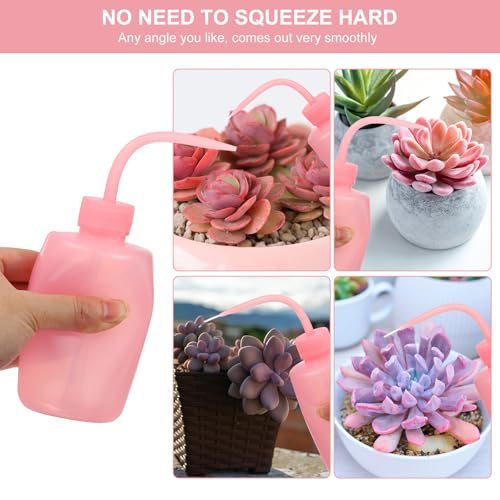 150ml 5oz Succulent Eyelash Tattoo Wash view 5
