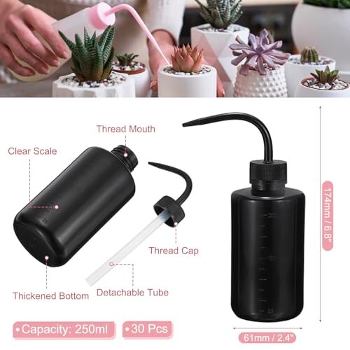 250ml 8oz Succulent Eyelash Tattoo Wash Bottle, 30 Pcs Plastic Watering view 2