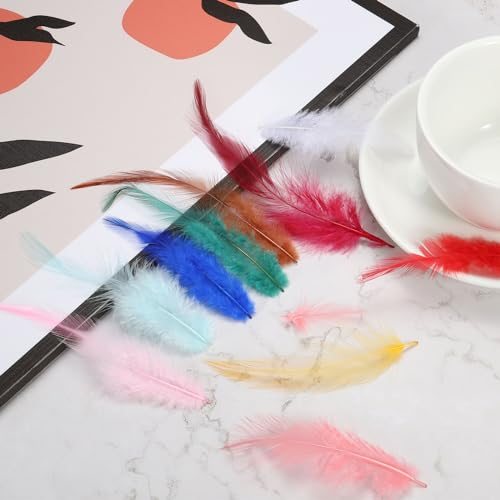 3-6 Inch Saddle Hackle Rooster Feather, 50 Pcs Bulk Natural Feathers view 4