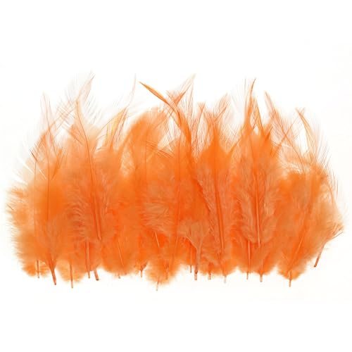 3-6 Inch Saddle Hackle Rooster Feather, 50 Pcs Bulk Natural Feathers — PATIKIL