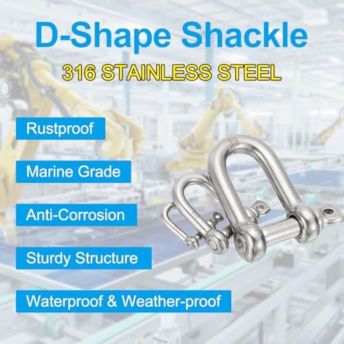 316 Stainless Steel Forged D Shackle Marine Grade view 3