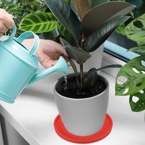 6 Inch Round Ceramic Plant Saucer, Plant Saucer Tray Flower Planter Drip view 5