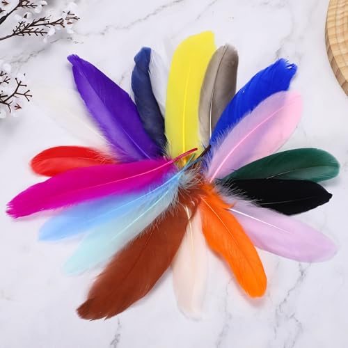 Long Assorted Colors Feathers, Hats, Garland view 4