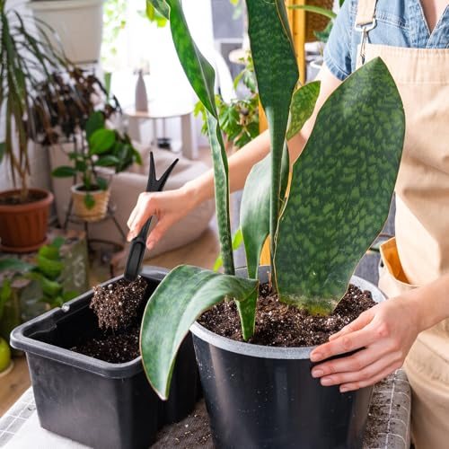 Mini Garden Hand Succulent Transplanting Tools, 6 Pack Digging Planting view 5