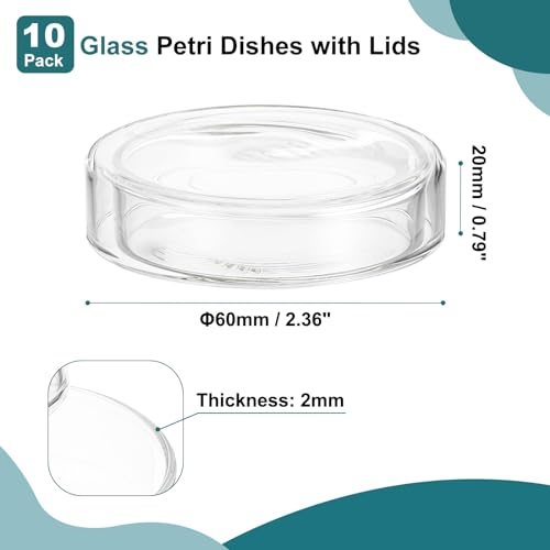 Petri Plates Tissue Culture Plate view 2