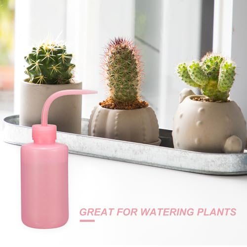 Pink 150ml/5oz Plastic Reusable Succulent Eyelash Tattoo Wash Bottle view 4