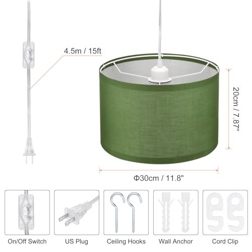 Plug in Pendant Light view 2