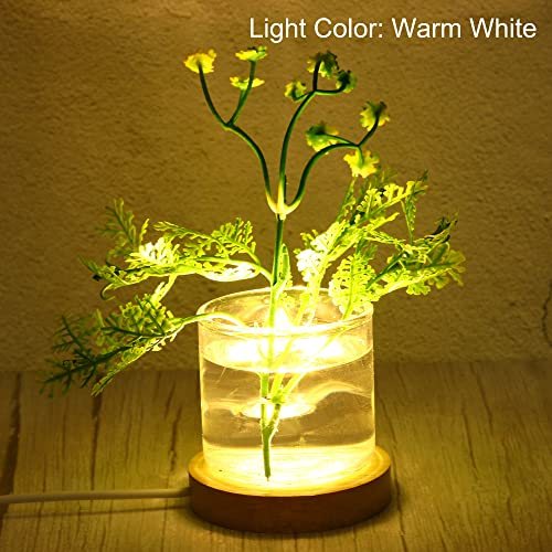Wooden LED Light Base Stand, 2 Packs Round Wooden 2.56" Dia Warm White view 4